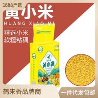 黃小米500g批發(fā)散裝山西新米農(nóng)家香糯小米五谷雜糧粥粗糧 鶴來香