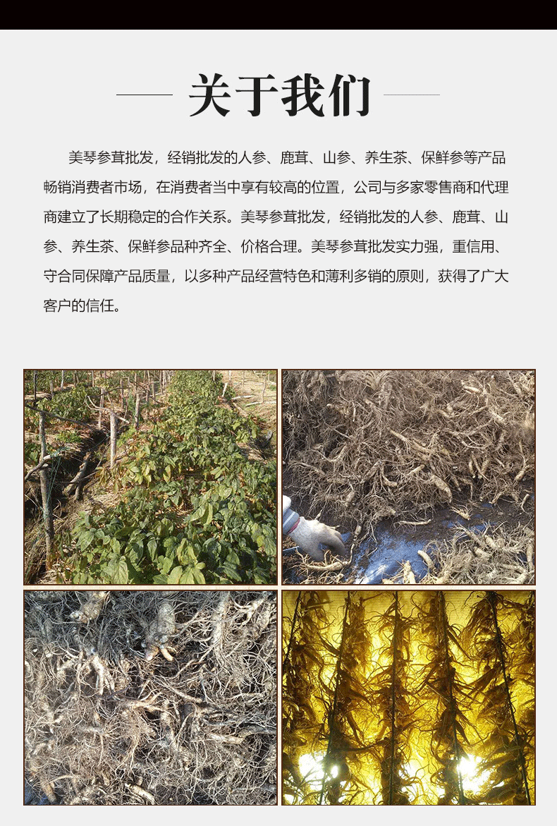 林下山參亞克力_08