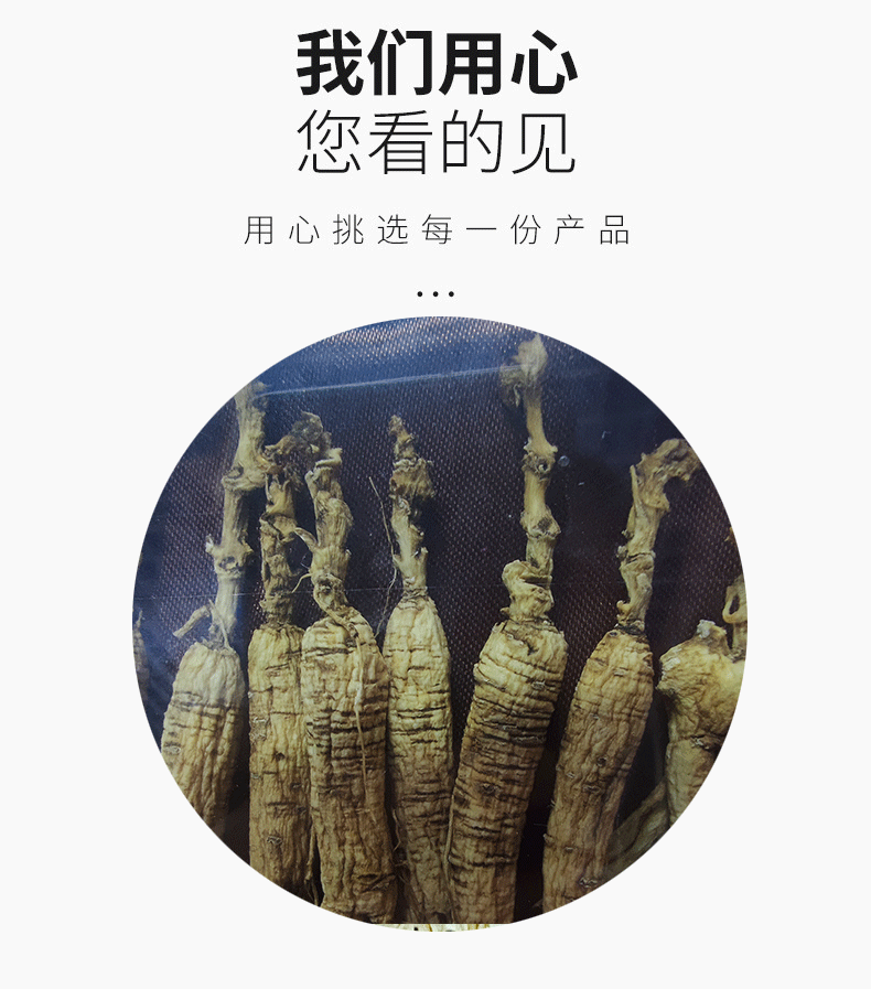 林下山參亞克力_03