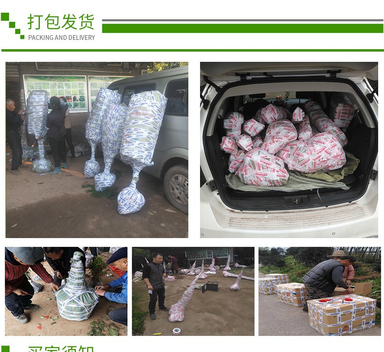 詳情頁(yè)2-恢復(fù)的_09_WPS圖片