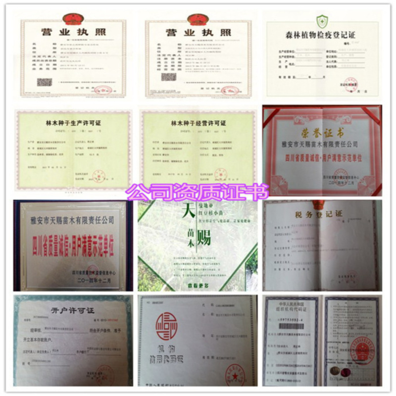 蜂蜜瀏覽器_公司資質(zhì)證書(shū)