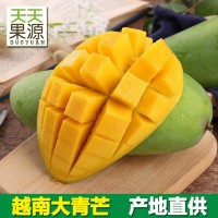 產地直供 越南大青芒9斤裝金煌芒大青 芒果當季水果一件代發(fā)