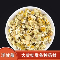 廣東貨源洋甘菊花果茶量大價優(yōu)羅馬洋甘菊茶散貨500克起批菊花茶