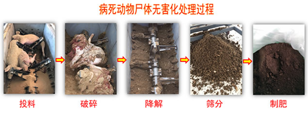 畜禽無(wú)害化處理流程
