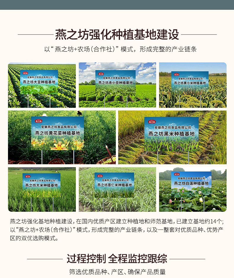 長粒赤小豆750_10