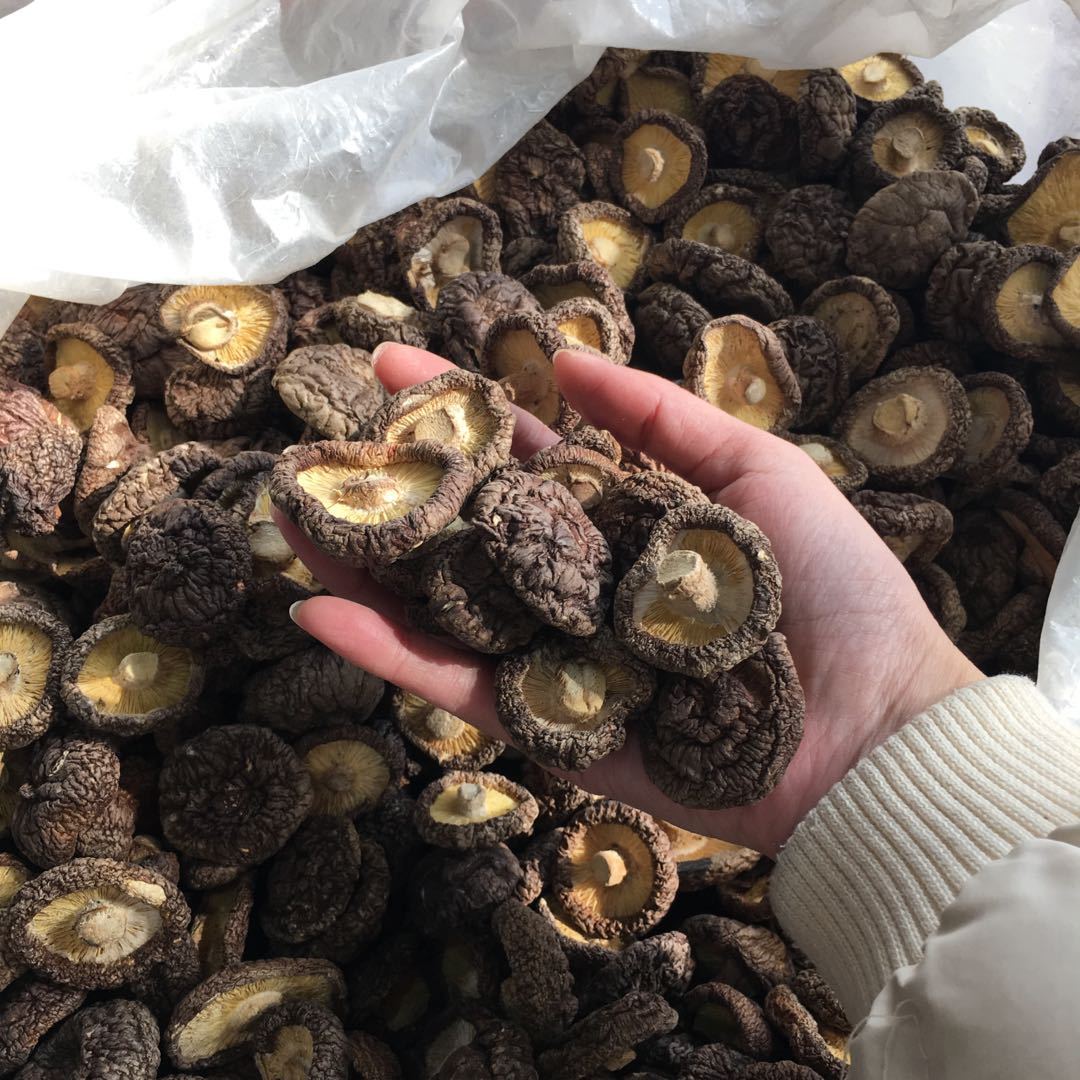 微信圖片_20180310163215