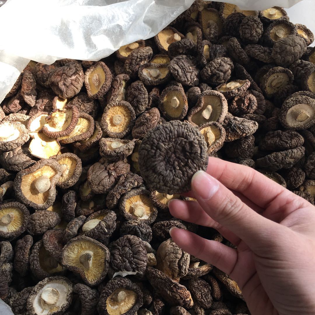 微信圖片_20180310163151