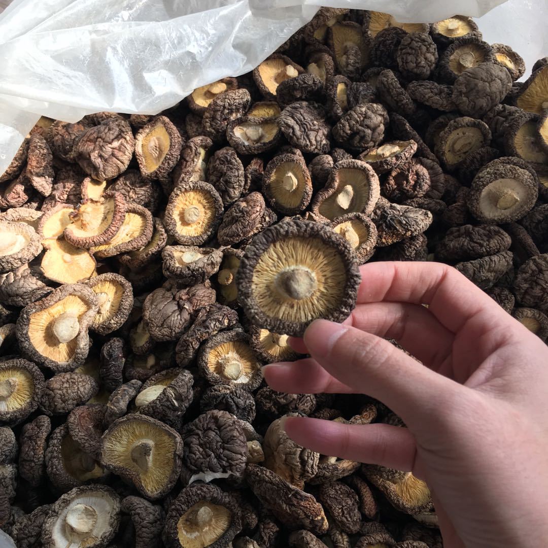 微信圖片_20180310163202