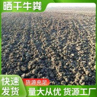 牛屎肥純干牛糞肥農(nóng)家肥牛糞有機肥料花蔬菜用天然農(nóng)家牛糞塊