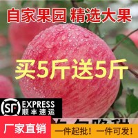 【順豐包郵 】山西丑蘋果冰糖心脆甜多汁紅富士水果5/10斤包郵。