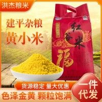 黃小米10斤裝批發(fā)散裝遼寧朝陽(yáng)新小米農(nóng)家五谷雜糧紅谷米可代發(fā)