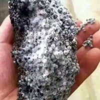 抗重茬復(fù)合微生物菌劑 有益活性菌10億/克抗病保水腐殖酸有機(jī)肥料