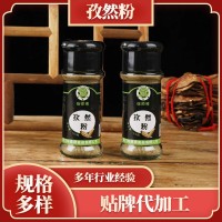 徐師傅調(diào)味料散裝牛羊肉調(diào)味燒烤火鍋料52g燉湯用孜然粉批發(fā)