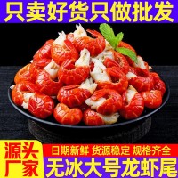 工廠直發(fā)鮮活龍蝦尾冷凍小龍蝦尾500g無冰衣蝦球大號商用蝦尾批發(fā)