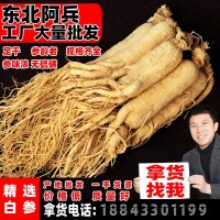 吉林長白山人參5噸生曬參過檢五年低農殘白參東北特產干人參批發(fā)
