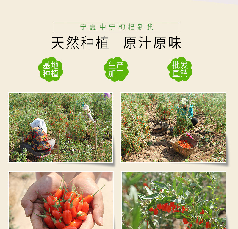 未標(biāo)題-1_05修改