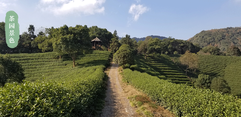 冠品詳情頁公司介紹_13