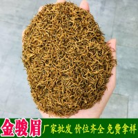 武夷山源頭茶廠2023茶葉 紅茶批發(fā)桂圓香蜜香散裝黃芽金駿眉特級