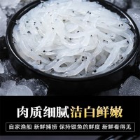 朋興匯大量批發(fā)鮮活速凍銀魚(yú) 現(xiàn)場(chǎng)加工銀魚(yú)干常年供應(yīng)