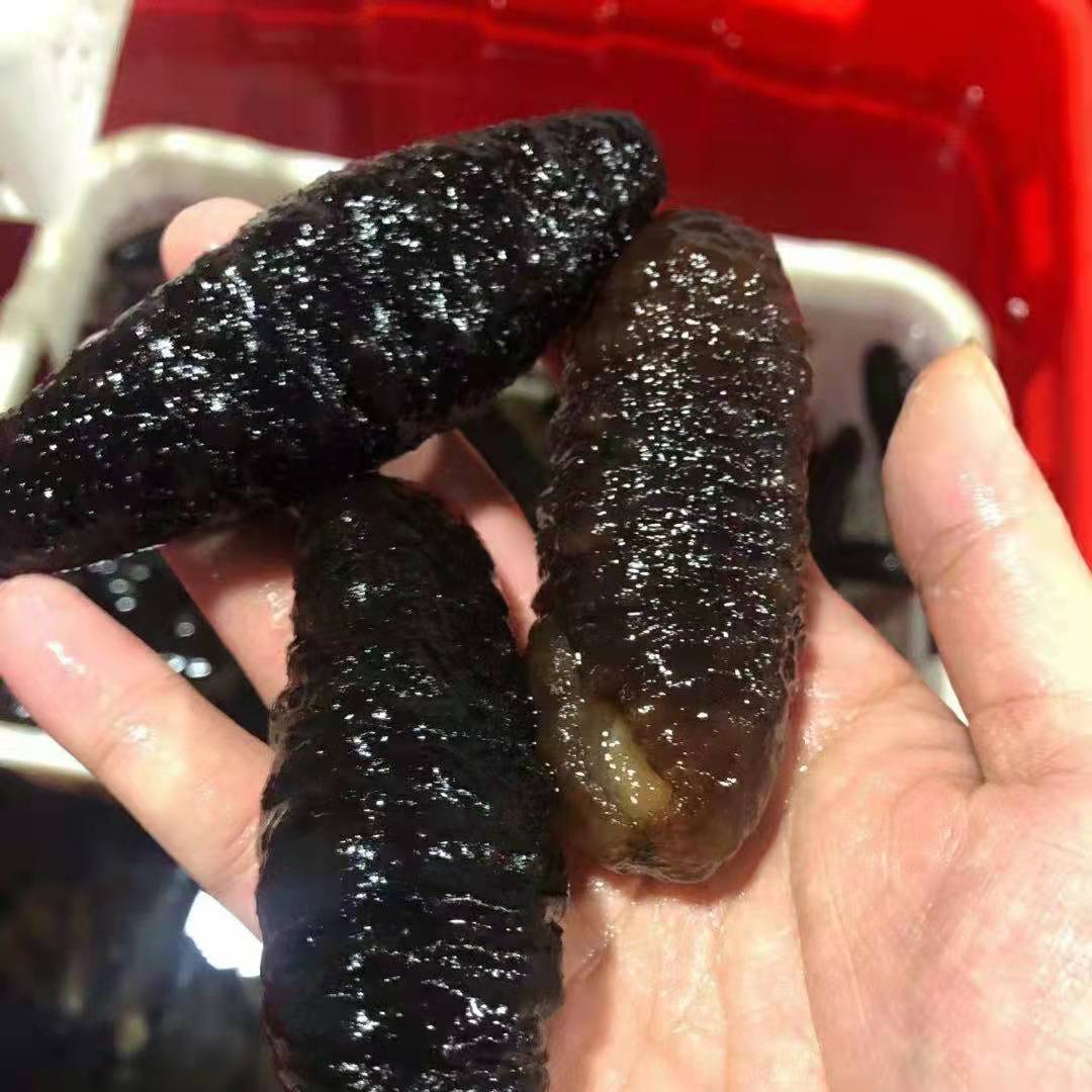 微信圖片_20211223000900