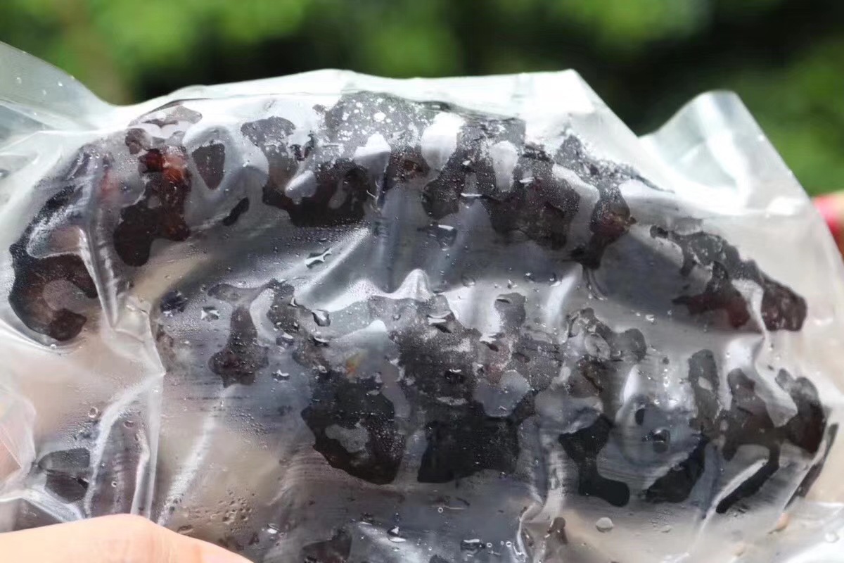 微信圖片_20211223000903