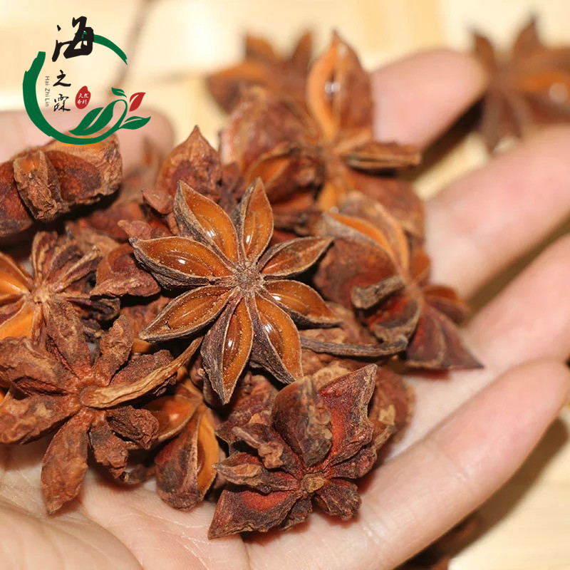 廣西大紅八角 (2)