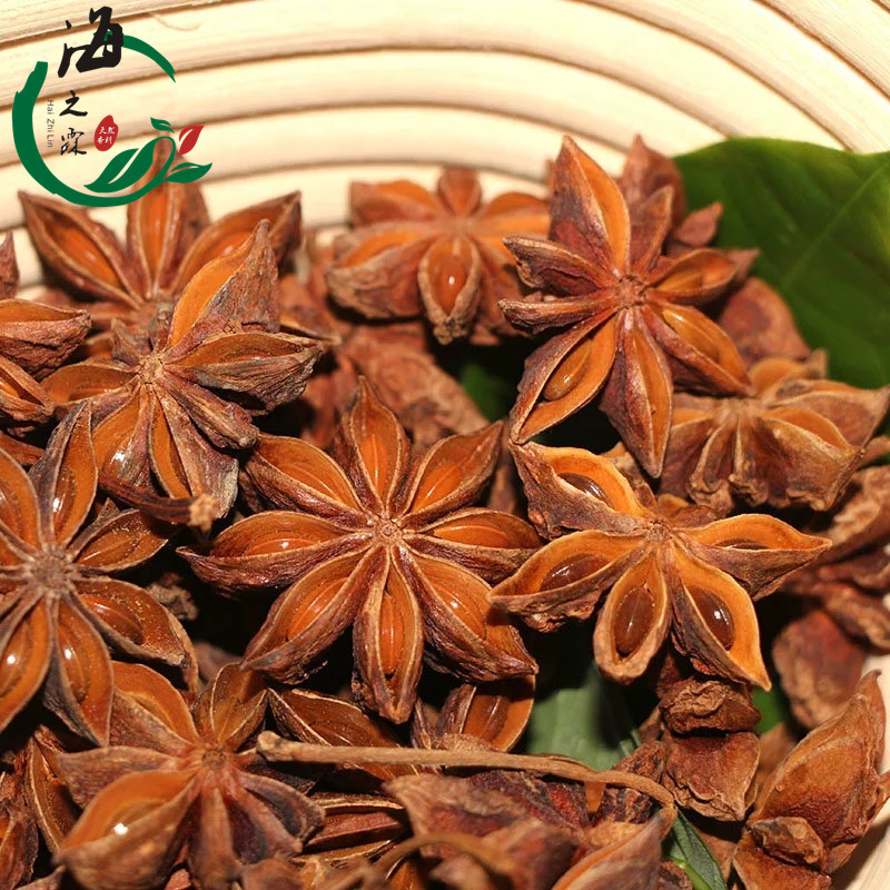 廣西八角大茴 (2)