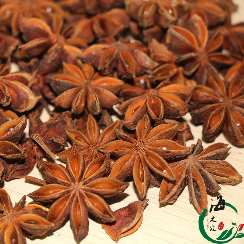 廣西八角大茴 (1)