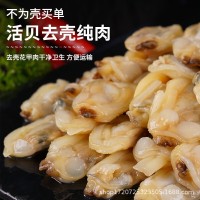 花甲肉蛤蜊肉去殼無沙新鮮花蛤鮮凍大黃蜆子雜蛤蛤蜊肉廠家批發(fā)