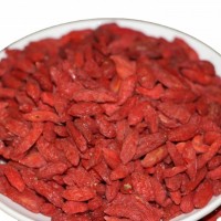 金葉子藥業(yè) 中藥材枸杞子 貨源充足 檢測(cè)合格
