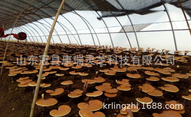 QQ圖片20160322223645