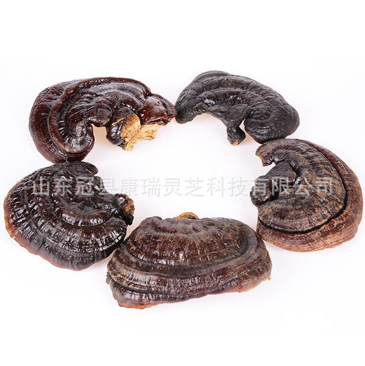 QQ圖片20160322223604