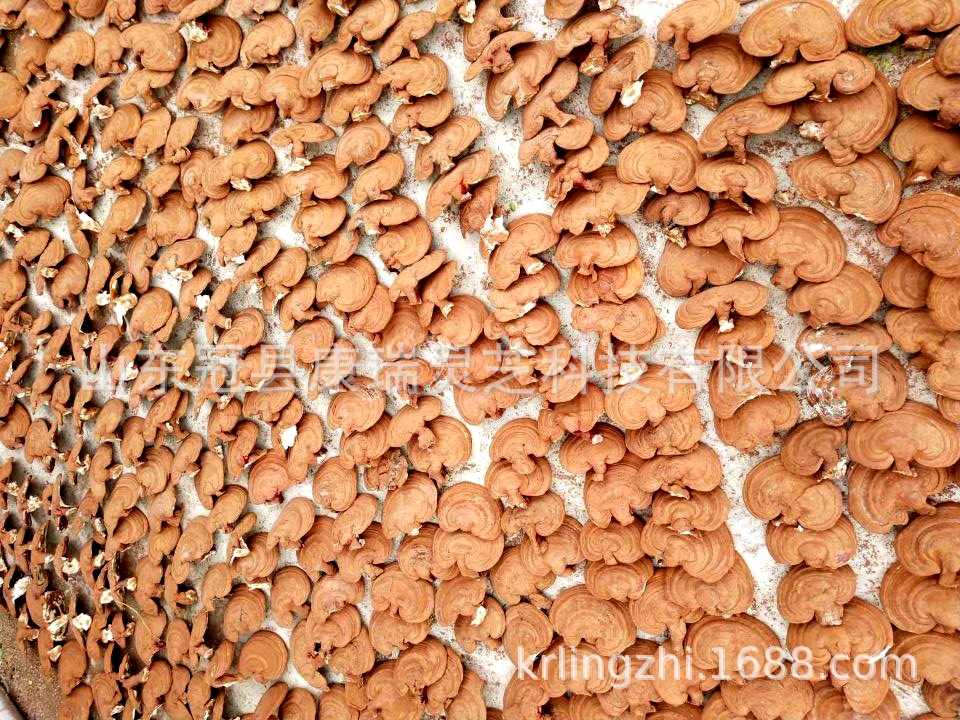 QQ圖片20181120131637