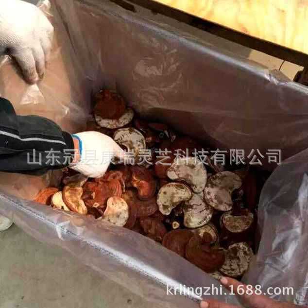 QQ圖片20160421183858