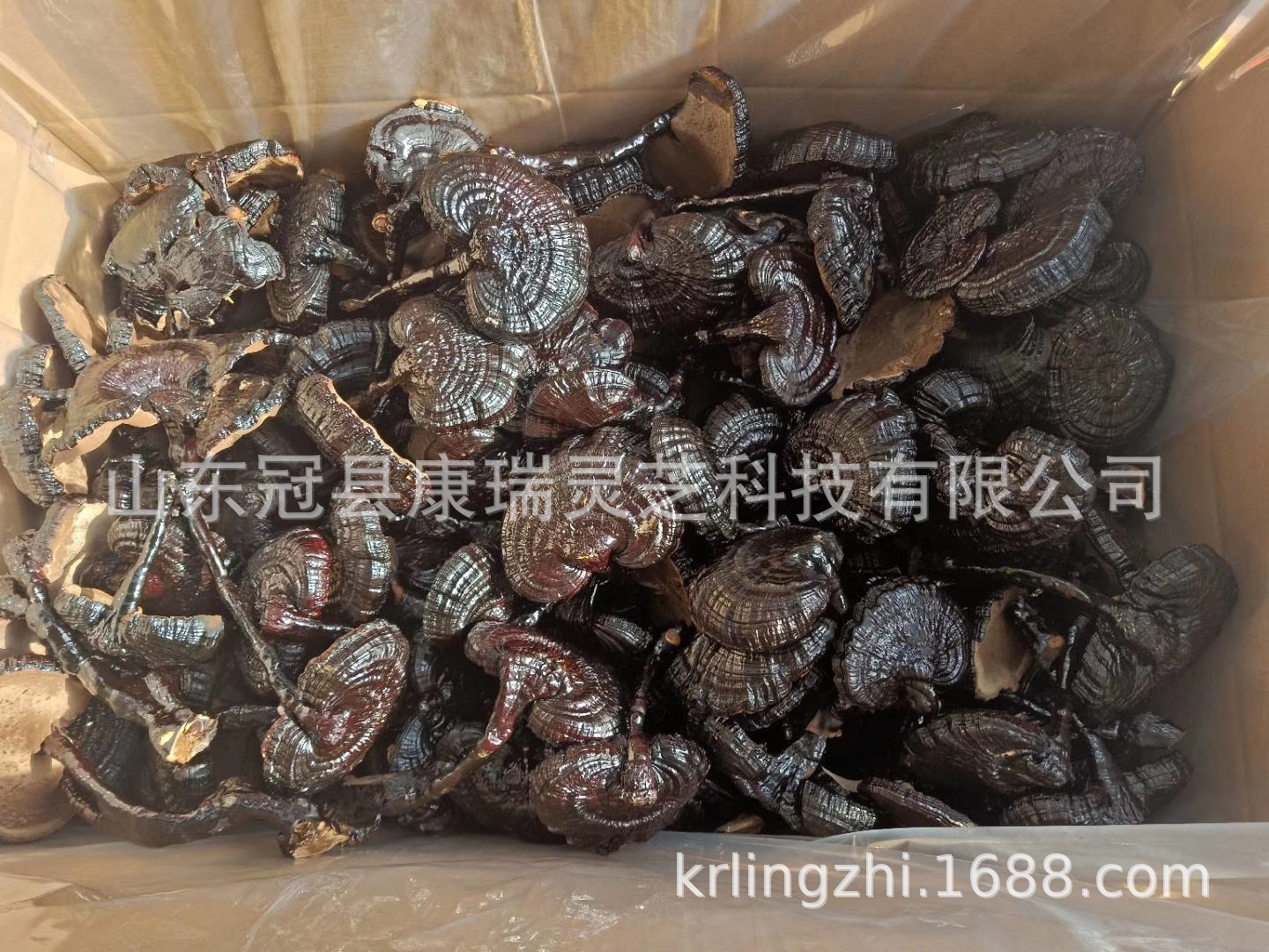 mmexport1549104483794