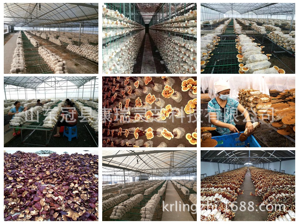 光影魔術(shù)手拼圖111