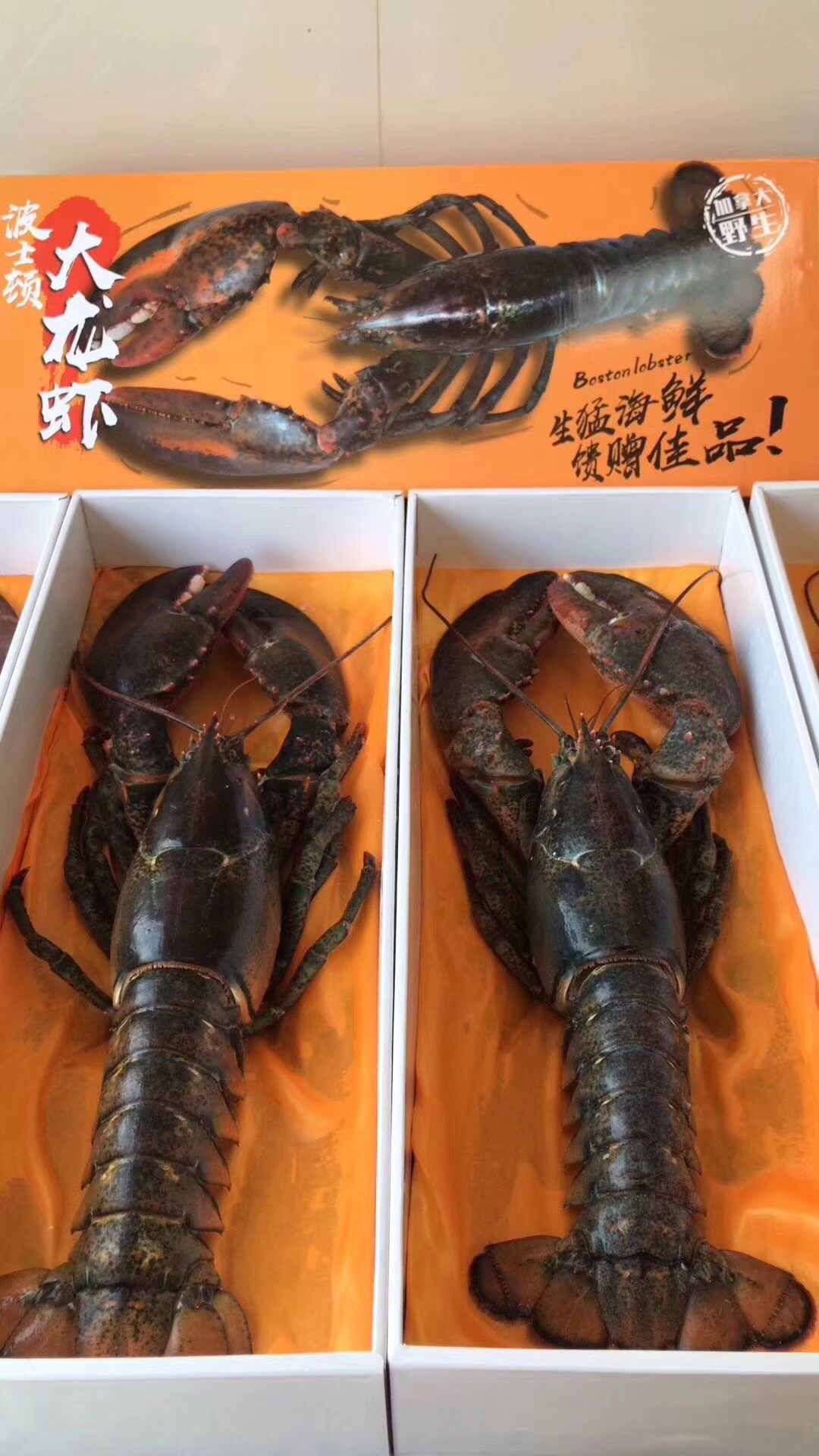 微信圖片_20181217094658