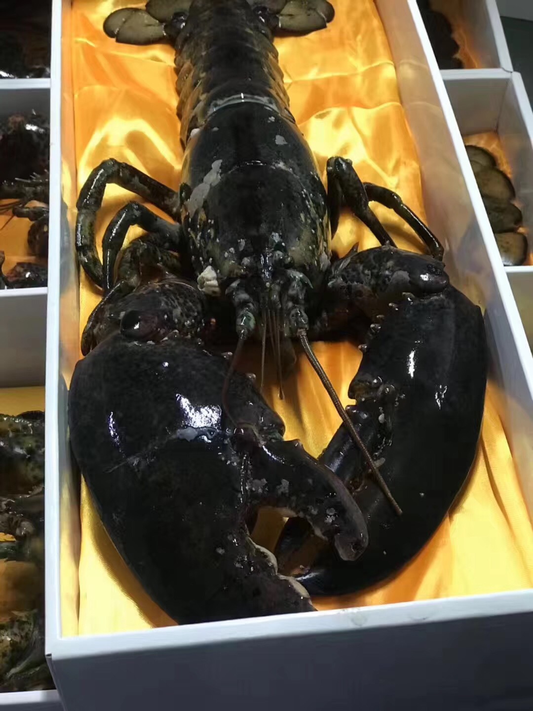 微信圖片_20181217094636