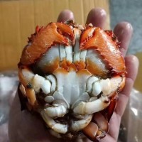 老虎蟹/凍旭蟹60/100g，100/200g，200/300g，300/400g，400/500g
