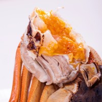 大閘蟹 禮券588型 大閘蟹 中秋團(tuán)購(gòu)禮券