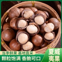 夏威夷果廠家直供熟制奶油味原味堅果零食休閑食品散裝批發(fā)