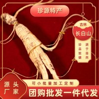 林下參長(zhǎng)白山禮盒東北特產(chǎn)高齡人參禮盒批發(fā)零售送禮高檔禮盒裝