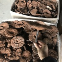 林下仿野生段木栽培黑靈芝紫靈芝整枝產地供貨切片帶粉500克林芝