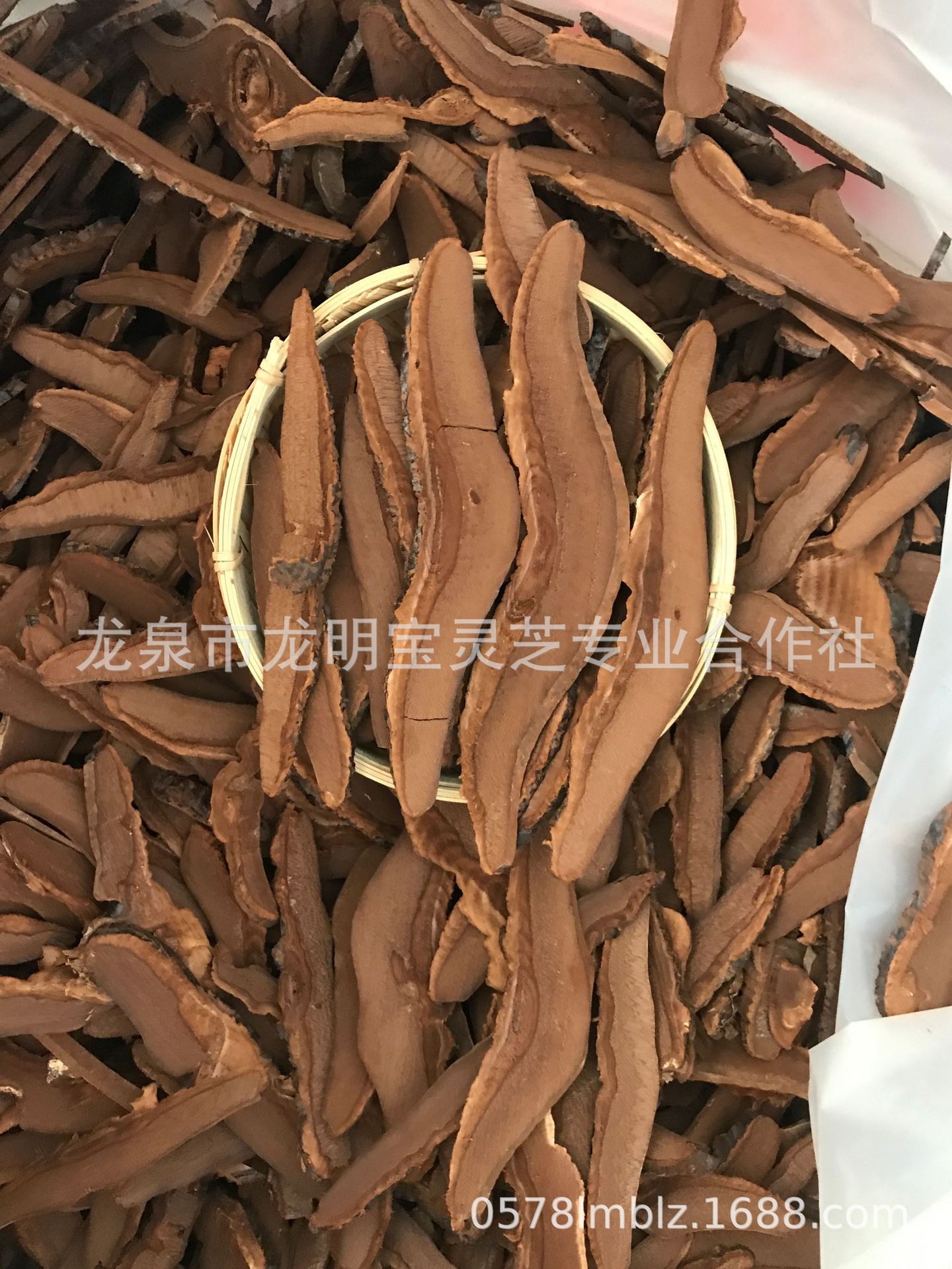 新建文件夾0909C49A-0D57-417E-84CC-E