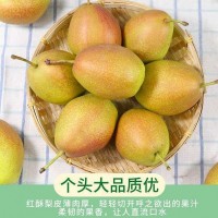 紅香酥梨子現(xiàn)摘現(xiàn)發(fā)新鮮水果脆甜小香梨5、10斤整箱批發(fā)非庫爾勒