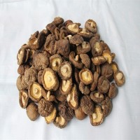 遠(yuǎn)安特產(chǎn)楚蕈500g散裝新貨肉厚鮮嫩冬菇100斤基地直批