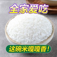 東北寒地大米當(dāng)季新米群艷長(zhǎng)粒香米10斤包郵廠家批發(fā)一件代發(fā)