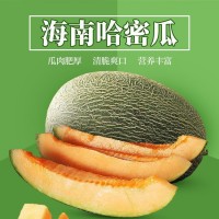 哈密瓜新疆10斤當季新水果脆甜網(wǎng)紋蜜瓜應(yīng)季小香瓜西州蜜整箱批發(fā)