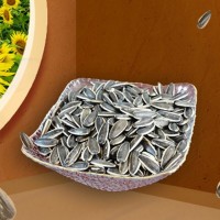 手工精選原味瓜子炒貨 大量批發(fā)香瓜子直銷