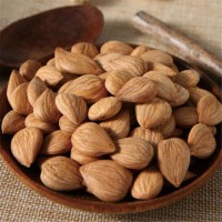 去皮杏仁 堅(jiān)果加工廠 香脆可口 剝殼去皮 興利圓